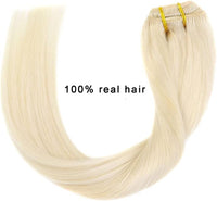 Clip-ins (50cm) 7 pieces / Platinablond